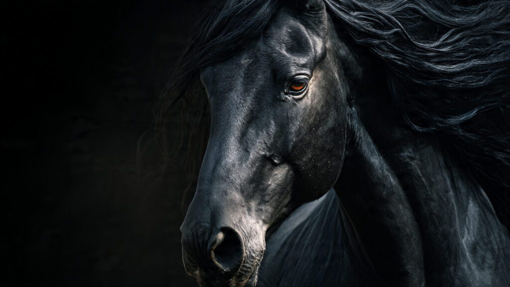 horse 8k wallpaper 15